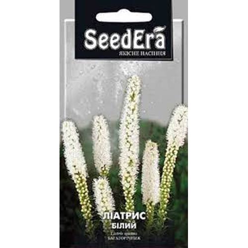 Лиатрис белый Seedera рисунок 1 артикул 72295