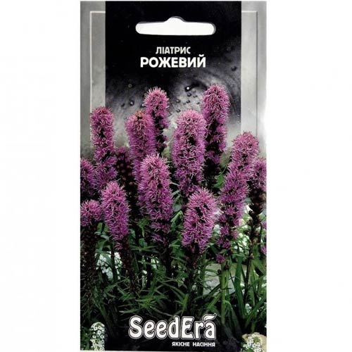 Лиатрис розовый Seedera артикул фото 1 Лиатрис розовый Seedera рисунок 1 артикул 72296