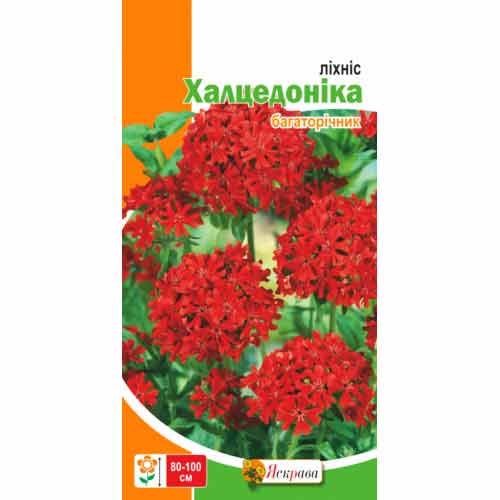 Лихнис Халцедоника Яскрава артикул фото 1 Лихнис Халцедоника Яскрава рисунок 1 артикул 77031