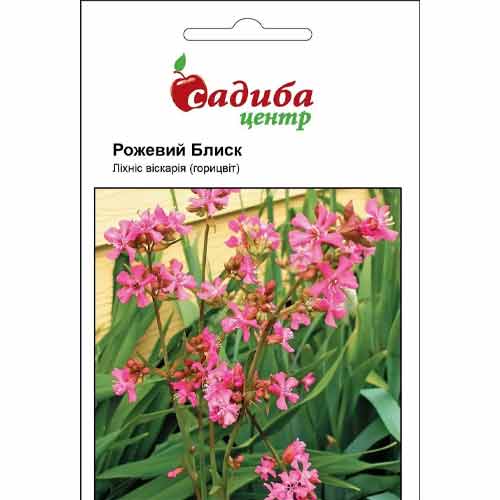 Лихнис Розовый блеск Садыба центр артикул фото 1 Лихнис Розовый блеск Садыба центр рисунок 1 артикул 89389