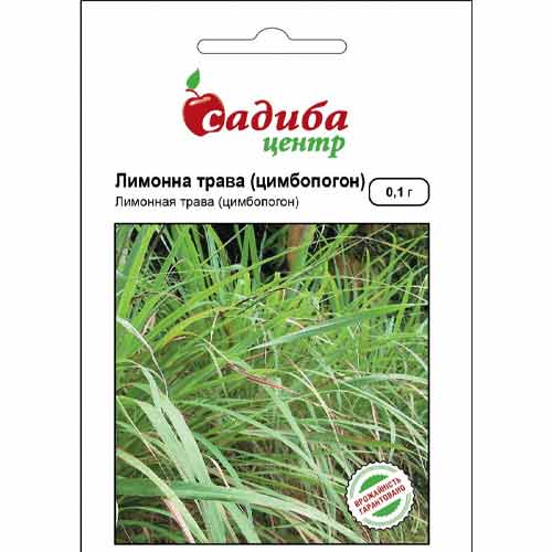 Лимонна трава Лемонграсс Садиба центр артикул фото 1 Лимонна трава Лемонграсс Садиба центр зображення 1 артикул 89388