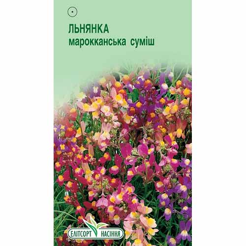 Льнянка марокканская, смесь окрасок Элитсорт рисунок 1 артикул 85950