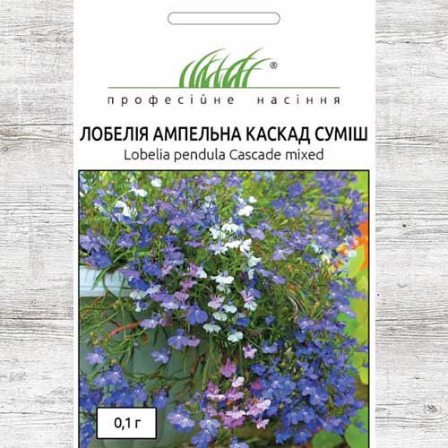 Лобелия Каскад ампельная, смесь окрасок рисунок 1 артикул 72297