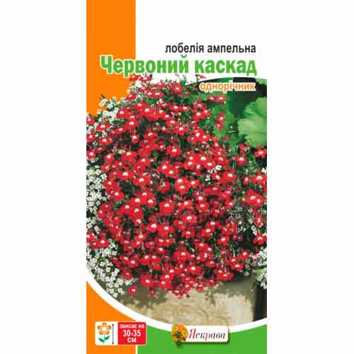 Лобелия ампельная Красный каскад рисунок 1 артикул 72301