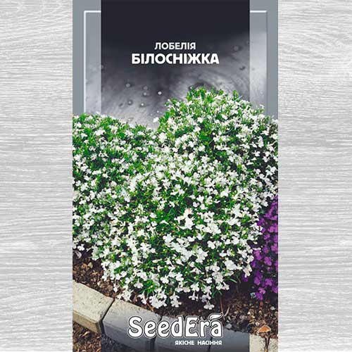 Лобелія Білосніжка зображення 1 артикул 77032