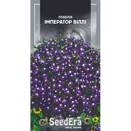 Лобелія Імператор Віллі Seedera зображення 1 артикул 77033