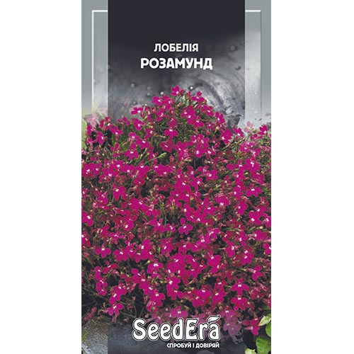 Лобелія Розамунд Seedera зображення 1 артикул 94971