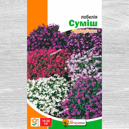 Лобелия, смесь окрасок рисунок 1 артикул 77035