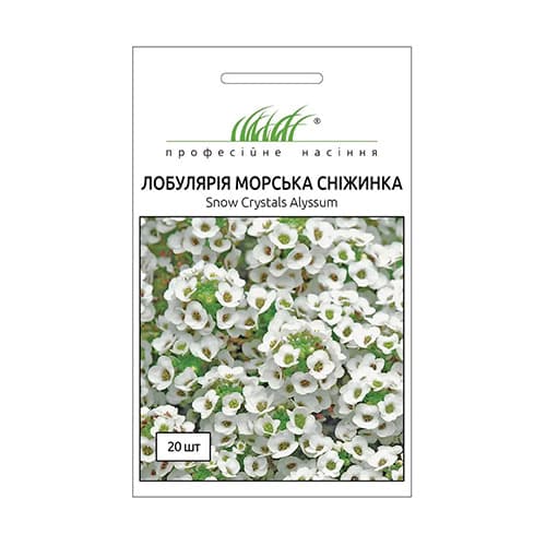 Лобулярія Сніжинка Професійне насіння зображення 1 артикул 95143