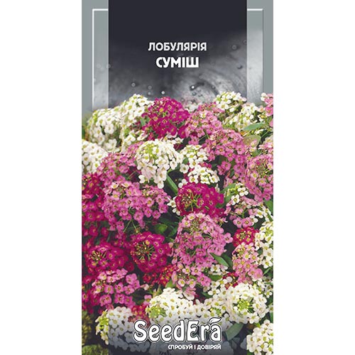 Лобулярия, смесь окрасок Seedera рисунок 1 артикул 94972