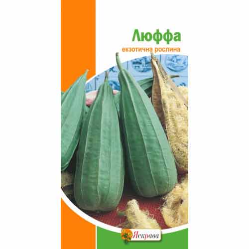 Люффа Яскрава, семена рисунок 1 артикул 99915
