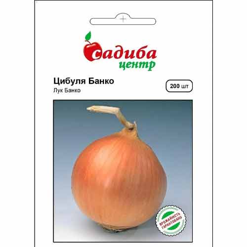 Лук репчатый Банко Садыба центр рисунок 1 артикул 89790