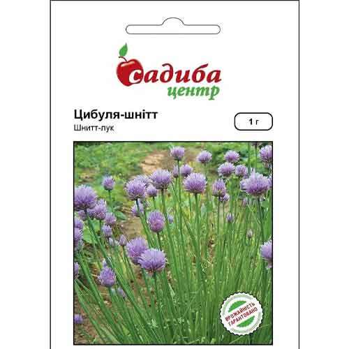 Цибуля на перо Шніт артикул фото 1 Цибуля на перо Шніт зображення 1 артикул 72831