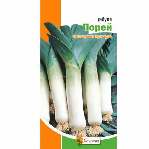 Цибуля порей зображення 1 артикул 72652