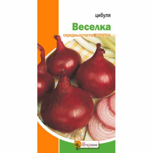 Лук репчатый Радуга Яскрава рисунок 1 артикул 90532