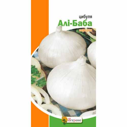 Цибуля Алі-Баба білоголова Яскрава зображення 1 артикул 72636