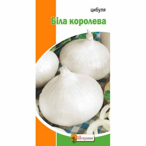 Цибуля ріпчаста Біла Королева Яскрава зображення 1 артикул 77331