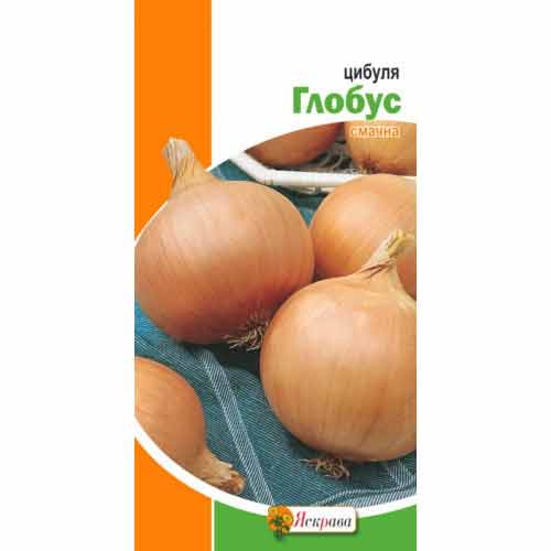 Цибуля ріпчаста Глобус Яскрава зображення 1 артикул 77332