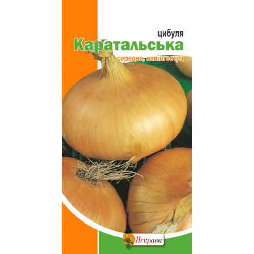 Цибуля ріпчаста Каратальська Яскрава зображення 1 артикул 72649