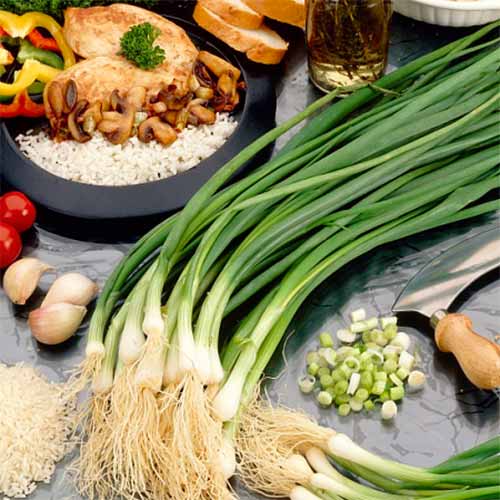 Цибуля Шашлична, насіння артикул фото 1 Цибуля Шашлична, насіння зображення 1 артикул 70148