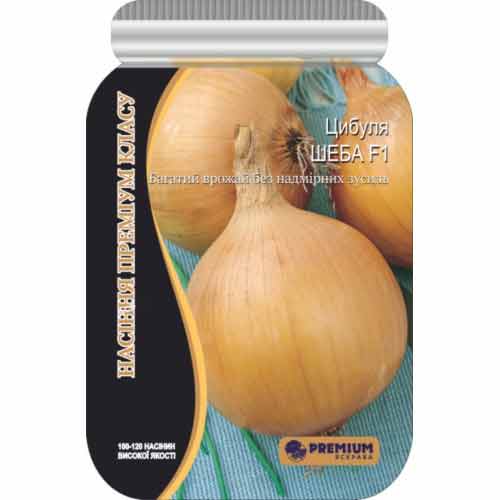 Лук репчатый Шеба F1 Яскрава рисунок 1 артикул 90533