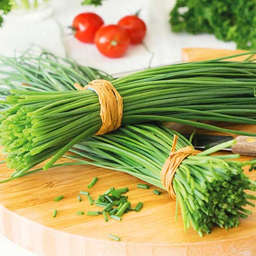 Цибуля шніт Seedera зображення 1 артикул 65662