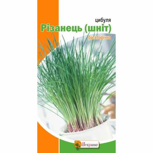 Лук шнитт Резанец Яскрава рисунок 1 артикул 72660