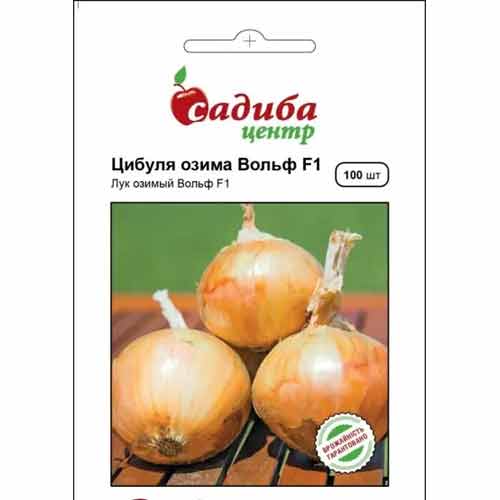 Лук репчатый Вольф F1 Садыба центр рисунок 1 артикул 89793