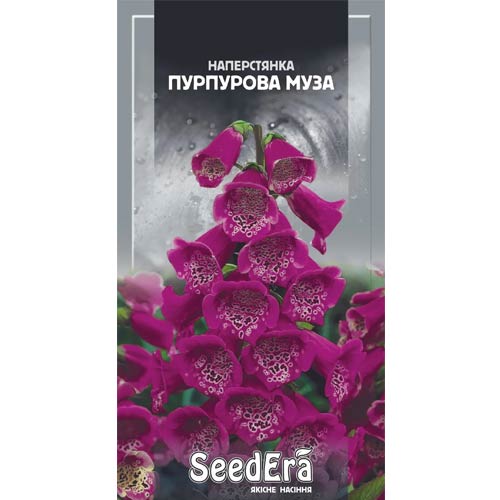 Лунария, смесь окрасок Seedera артикул фото 1 Лунария, смесь окрасок Seedera рисунок 1 артикул 72304