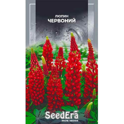 Люпин красный Seedera рисунок 1 артикул 77038