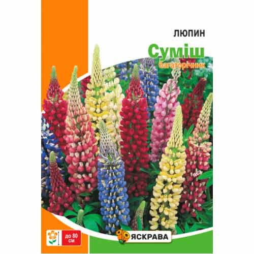 Люпин многолетний, смесь окрасок Яскрава рисунок 1 артикул 72306