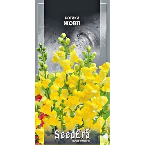 Ротики садові жовті Seedera зображення 1 артикул 89986
