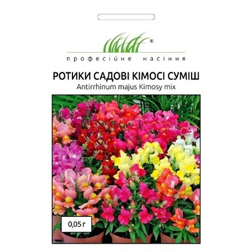 Львиный зев Кимоси, смесь окрасок Профессиональные семена рисунок 1 артикул 90314