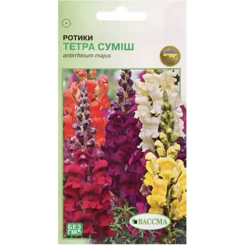 Львиный зев Тетра, смесь окрасок Seedera рисунок 1 артикул 66416