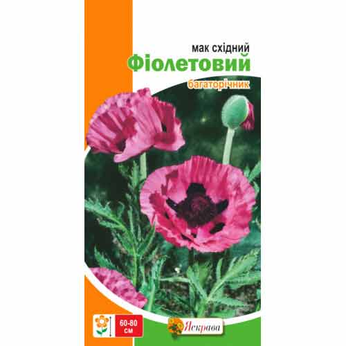 Мак cхідний фіолетовий зображення 1 артикул 90445
