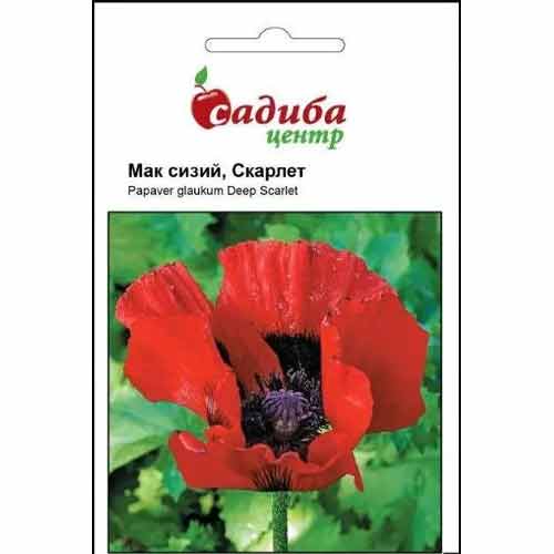 Мак Скарлет Садыба центр рисунок 1 артикул 77042