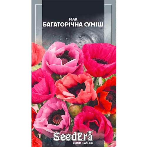Мак східний, суміш забарвлень Seedera зображення 1 артикул 77044