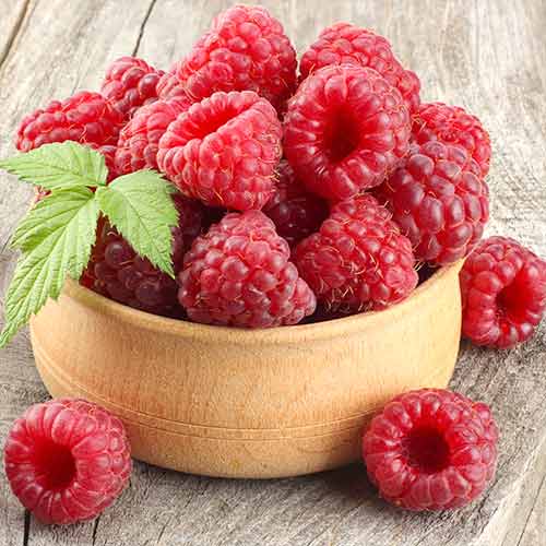 Малина ремонтантна Брусвяна зображення 1 артикул 4359