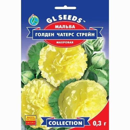 Мальва Голден Чатерз Стрейн GL Seeds зображення 1 артикул 99486