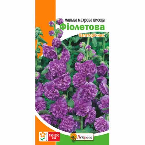 Мальва махровая фиолетовая Яскрава рисунок 1 артикул 72321