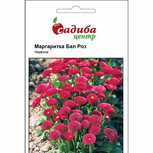 Маргаритка Бал Роз красная Садиба центр рисунок 1 артикул 77106
