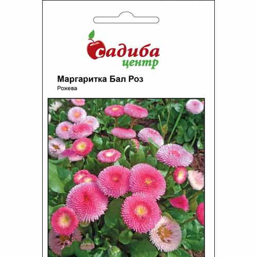 Маргаритка Бал Роз розовая Садиба центр рисунок 1 артикул 72781