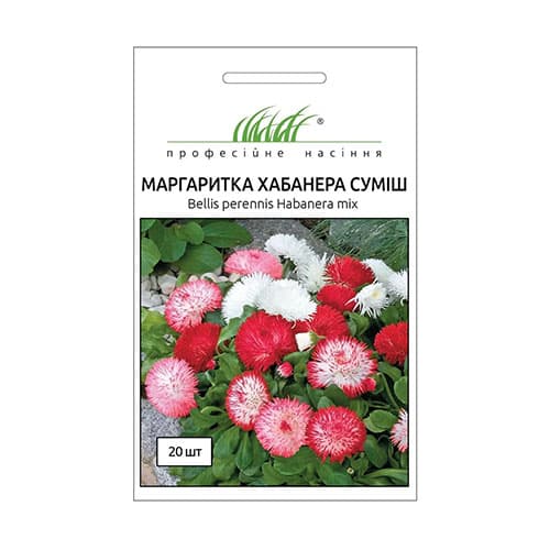 Маргаритка Хабанера, суміш забарвлень Професійне насіння артикул фото 1 Маргаритка Хабанера, суміш забарвлень Професійне насіння зображення 1 артикул 72332