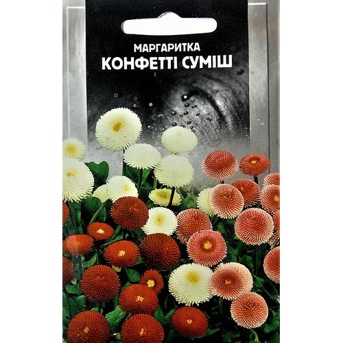 Маргаритка Конфетти, смесь окрасок Seedera рисунок 1 артикул 66277