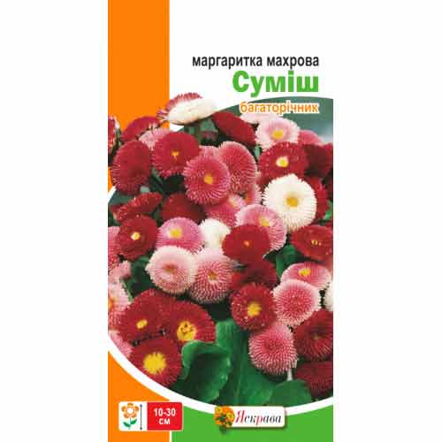 Маргаритка махровая, смесь окрасок рисунок 1 артикул 72330