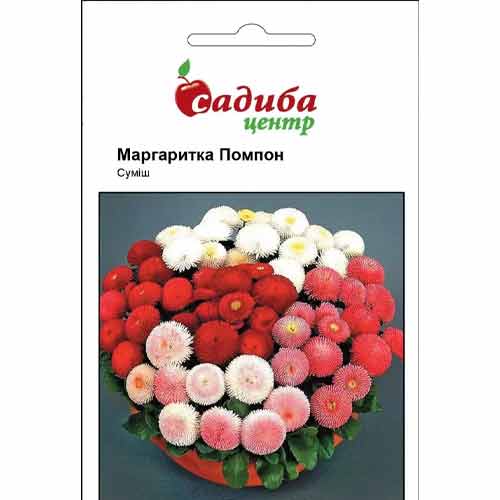 Маргаритка Помпон, смесь окрасок Садиба центр рисунок 1 артикул 89694