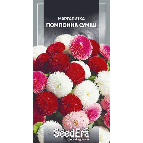 Маргаритка Помпонна, суміш забарвлень Seedera зображення 1 артикул 94975