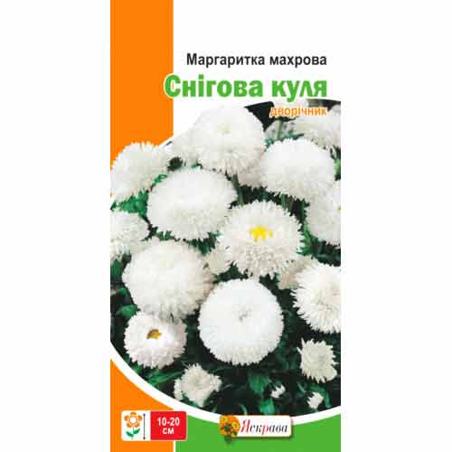 Маргаритка Снежный шар Яскрава рисунок 1 артикул 77050