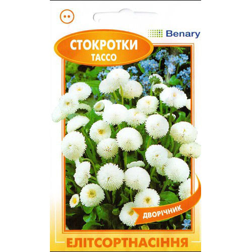 Маргаритка Тассо белая F1 Элитсорт рисунок 1 артикул 90853