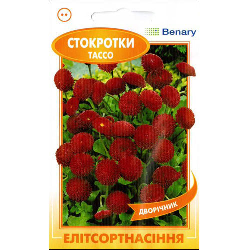 Маргаритка Тассо красная F1 Элитсорт рисунок 1 артикул 90854